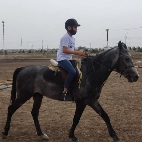 باشگاه سوارکاری رام — اسب‌سواری — قم — مجموعه
